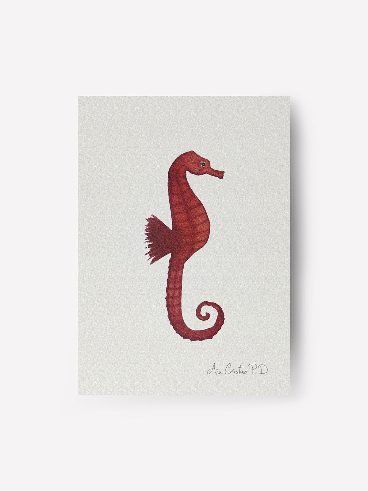 Caballito de Mar III