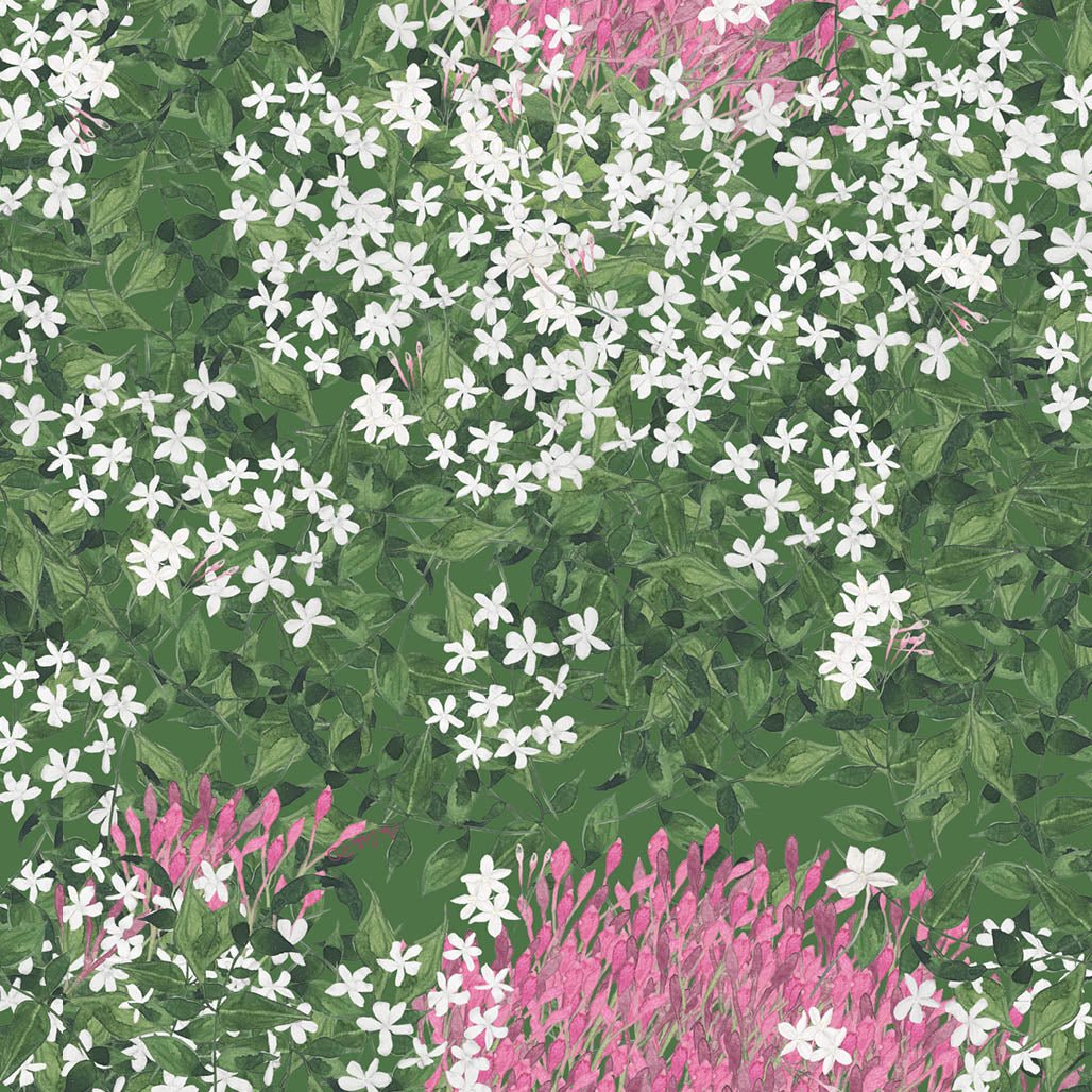 Estampado Unaquita - Ana Cristina P.D. Design