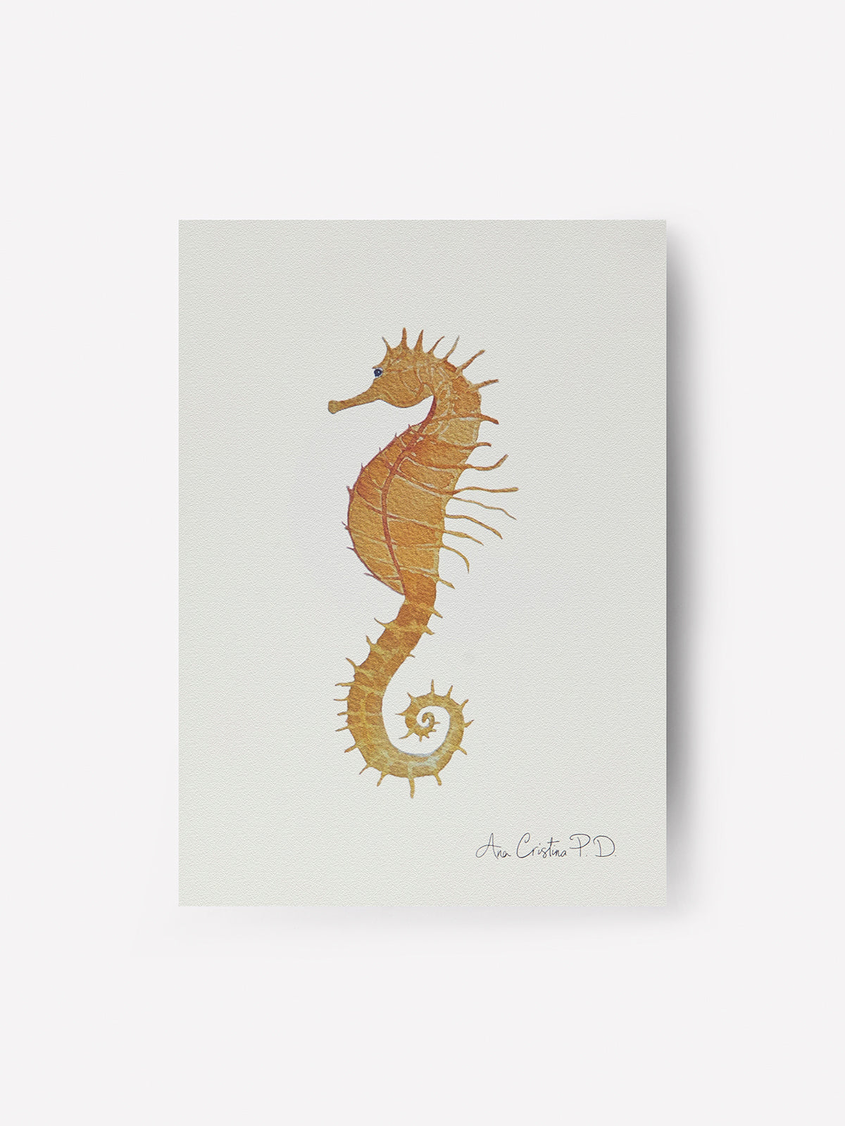 Caballito de Mar II