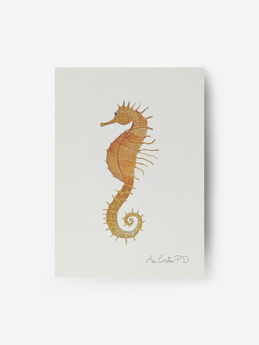 Caballito de Mar II