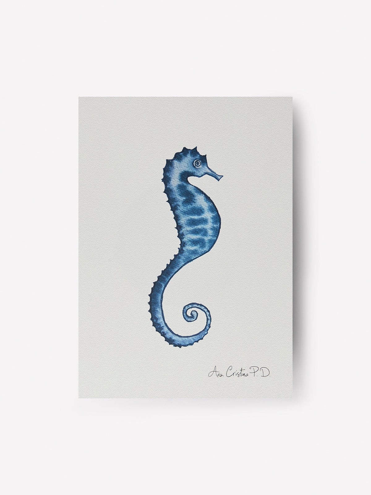 Caballito de Mar IV