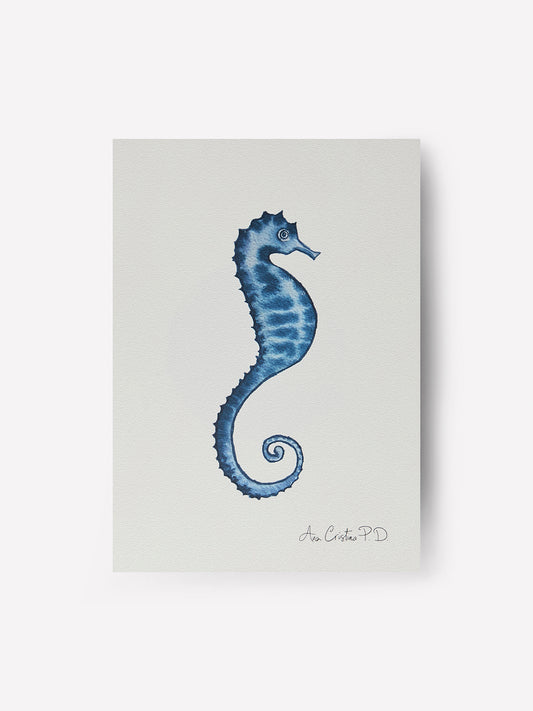 Caballito de Mar IV