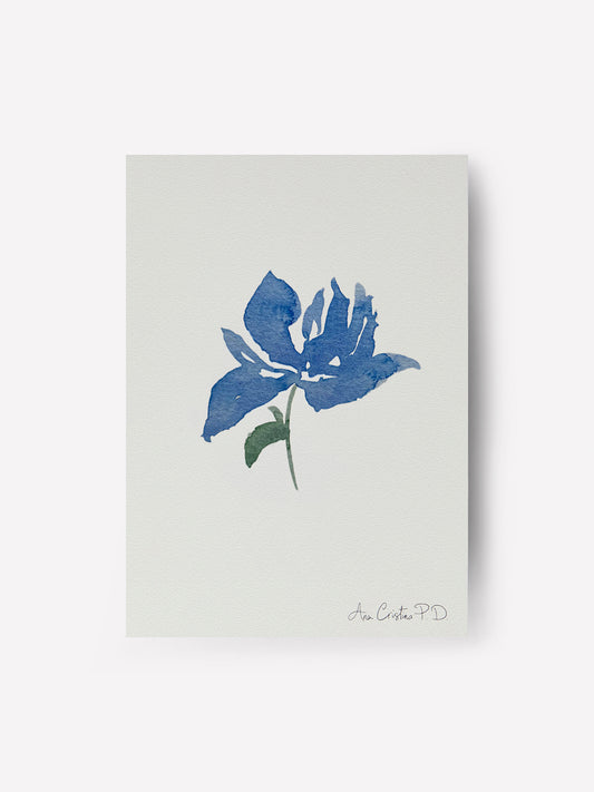 Flor Azul I