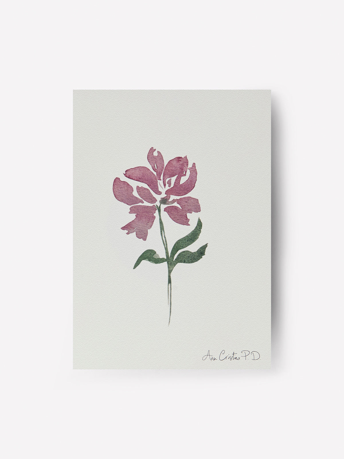 Flor Rosa