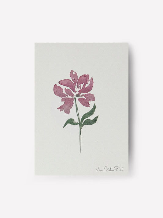 Flor Rosa