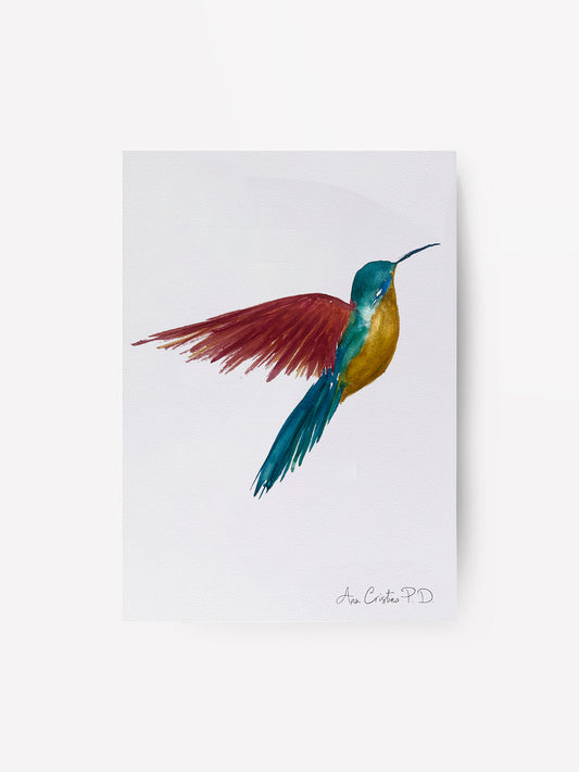 Vuelo